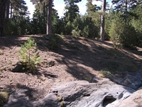rrente Quarantore-20110911 060